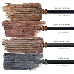 Brow Colorist