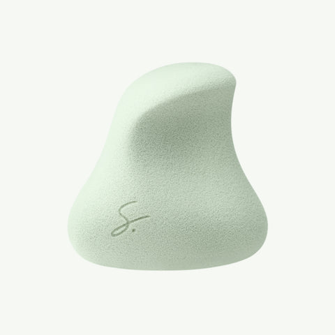 Complexion Pro Beauty Sponge